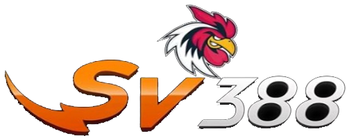 Sv388vn.icu
